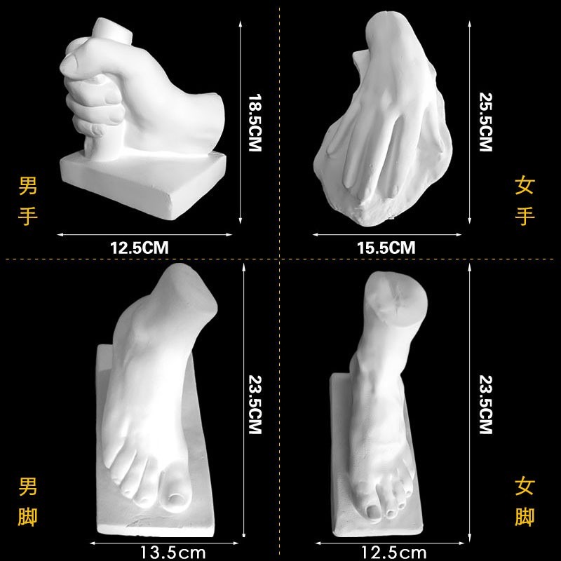 美術用品繪畫室配套石膏像模型男女手腳素描靜物教具藝考雕塑擺件-細節圖2