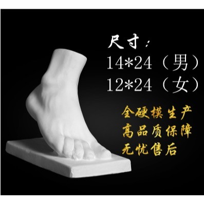 美術用品繪畫室配套石膏像模型男女手腳素描靜物教具藝考雕塑擺件-細節圖4