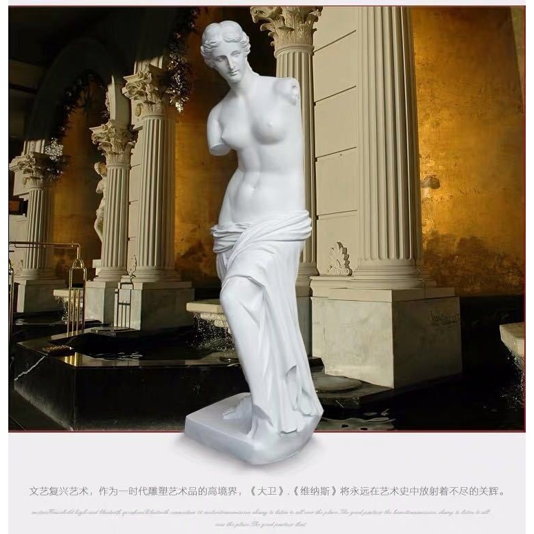 大衛維納斯全身石膏頭像美術教具素描大號人物模型人像靜物雕塑擺-細節圖2