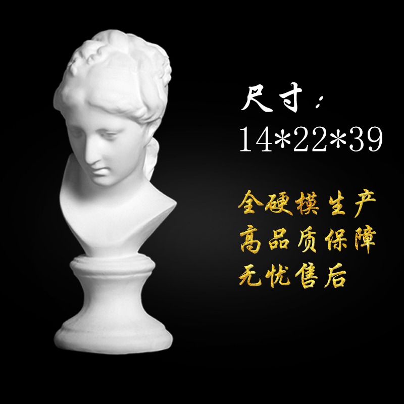 天浩石膏像小維納斯頭像H40CM素描石膏寫生練習專用美術用品-細節圖2