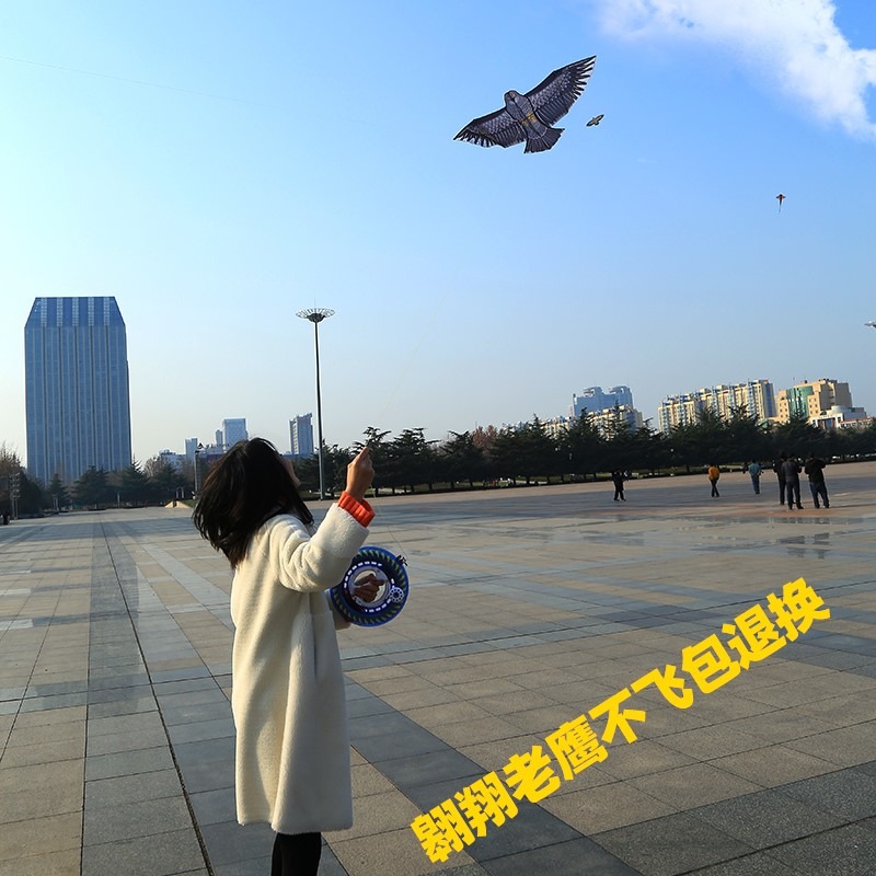 網紅老鷹風箏大人專用兒童微風易飛大型高檔成人專業級中國風濰坊-細節圖4