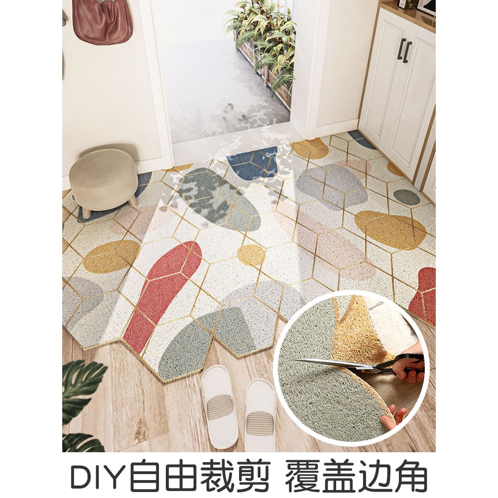 入戶門地墊可裁剪刮沙除塵腳墊家用玄關門墊進門門口墊子絲圈地毯-細節圖4