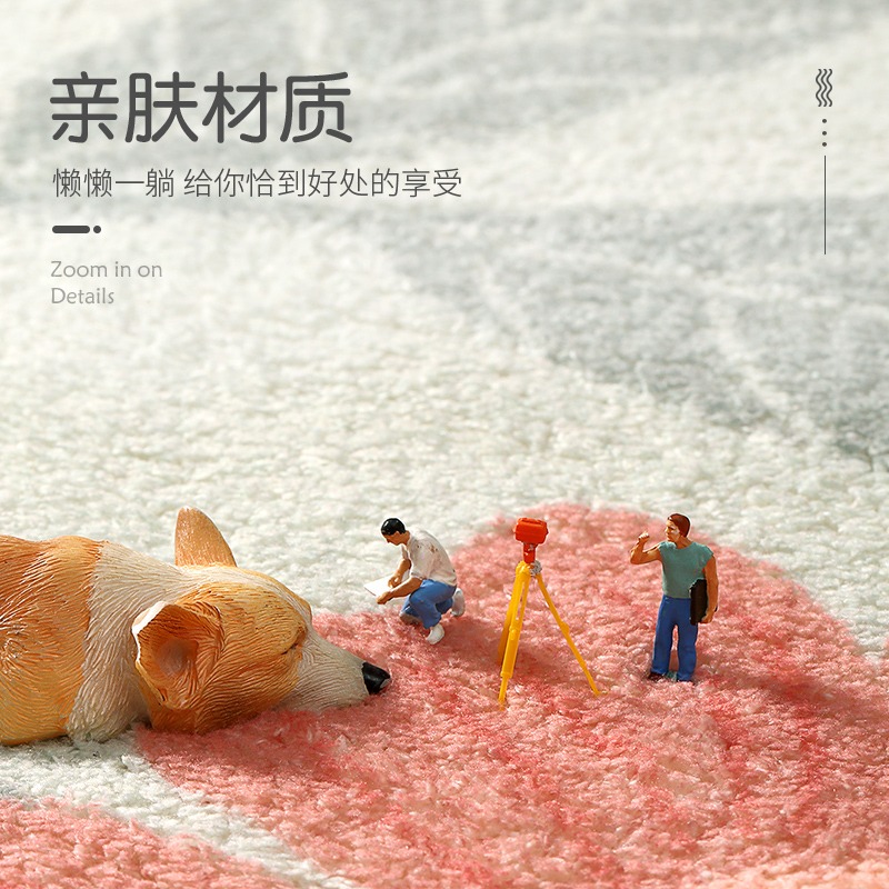 簡約家用長條臥室牀邊地毯房間客廳兒童房加厚地墊羊羔絨牀前腳墊-細節圖3