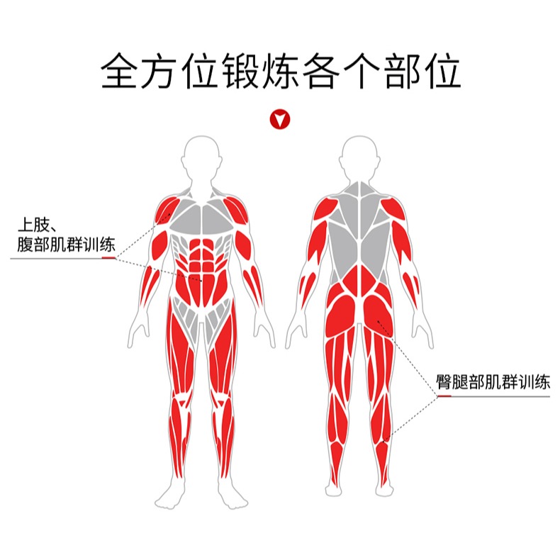 PROIRON健腹輪腹肌健身器減腹肚子神器健身器材家用健腹美腰馬甲-細節圖10