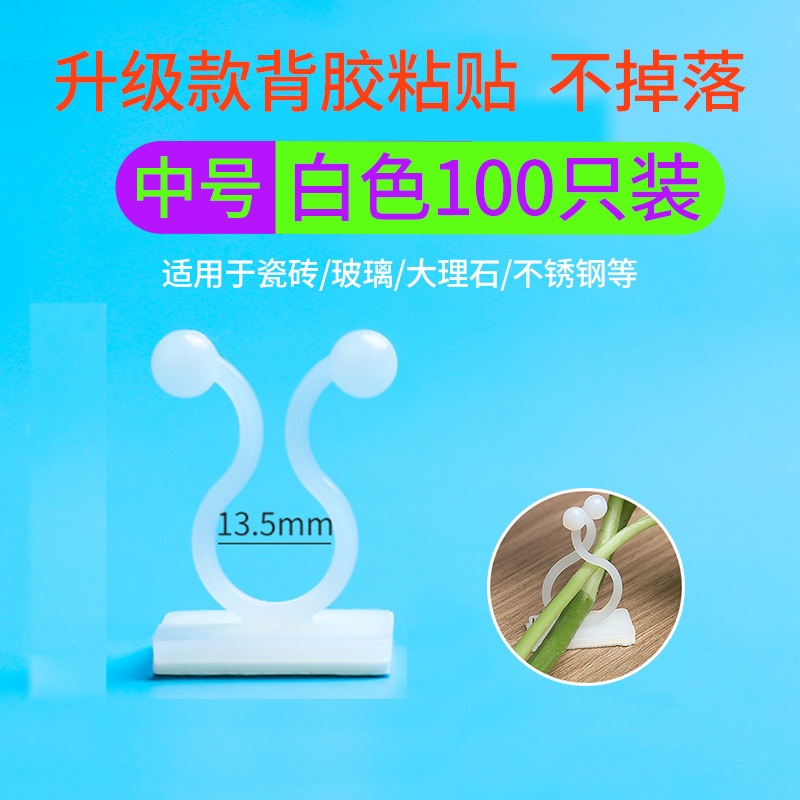 綠蘿綠植爬墻固定神器無痕家用扣攀爬室內蔓藤植物墻上掛鉤固定夾-細節圖3