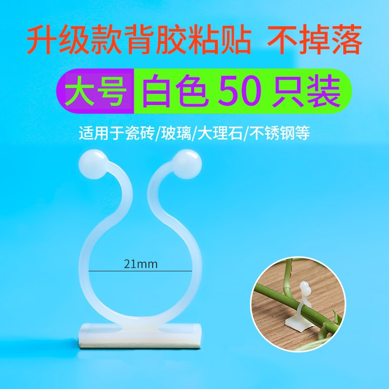 綠蘿綠植爬墻固定神器無痕家用扣攀爬室內蔓藤植物墻上掛鉤固定夾-細節圖4