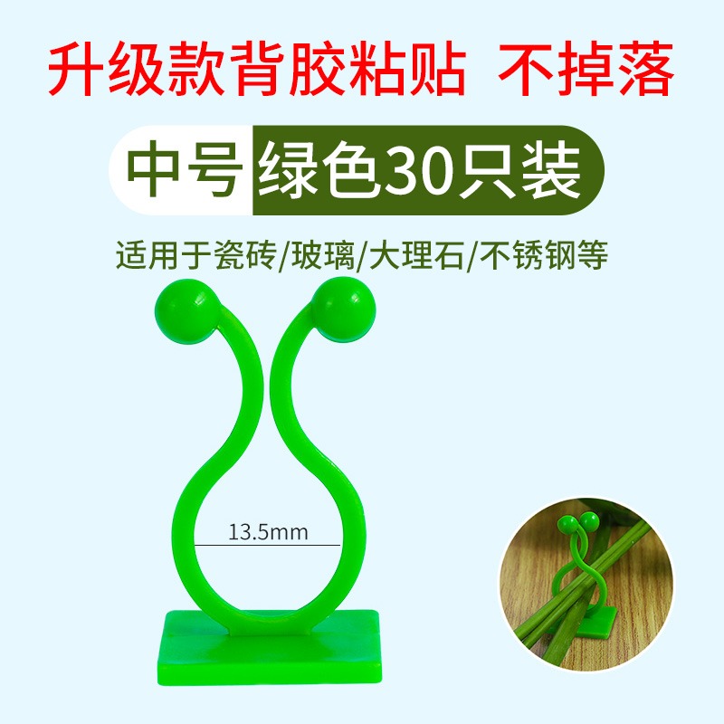 綠蘿綠植爬墻固定神器無痕家用扣攀爬室內蔓藤植物墻上掛鉤固定夾-細節圖9