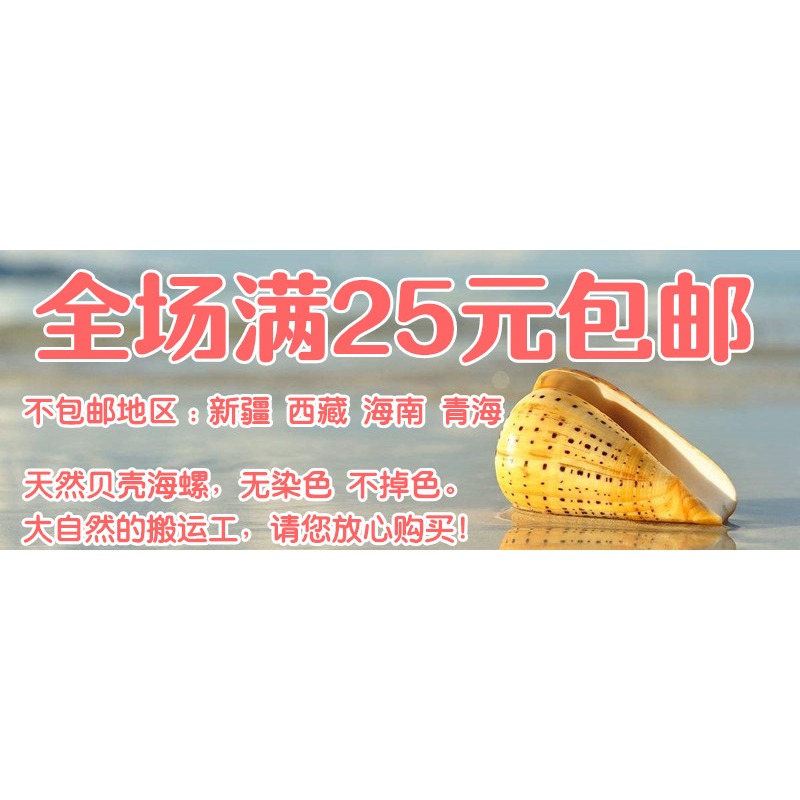 特大海螺超大石號螺天然貝殼大海螺魚缸造景水族裝飾地中海擺件-細節圖10
