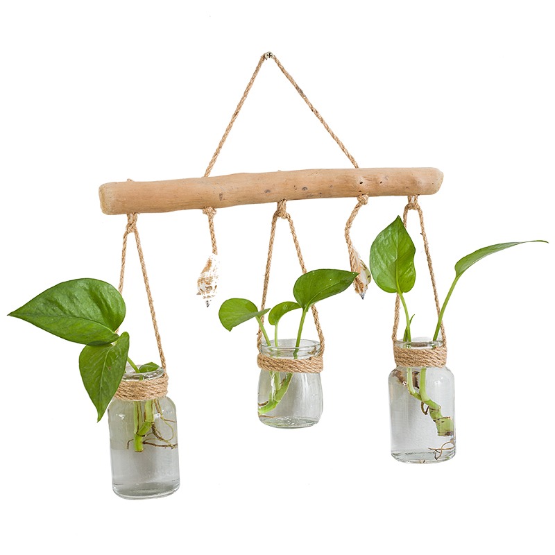 ins創意水培植物壁掛玻璃花瓶門簾裝飾綠蘿小吊瓶小清新墻面掛飾-細節圖5