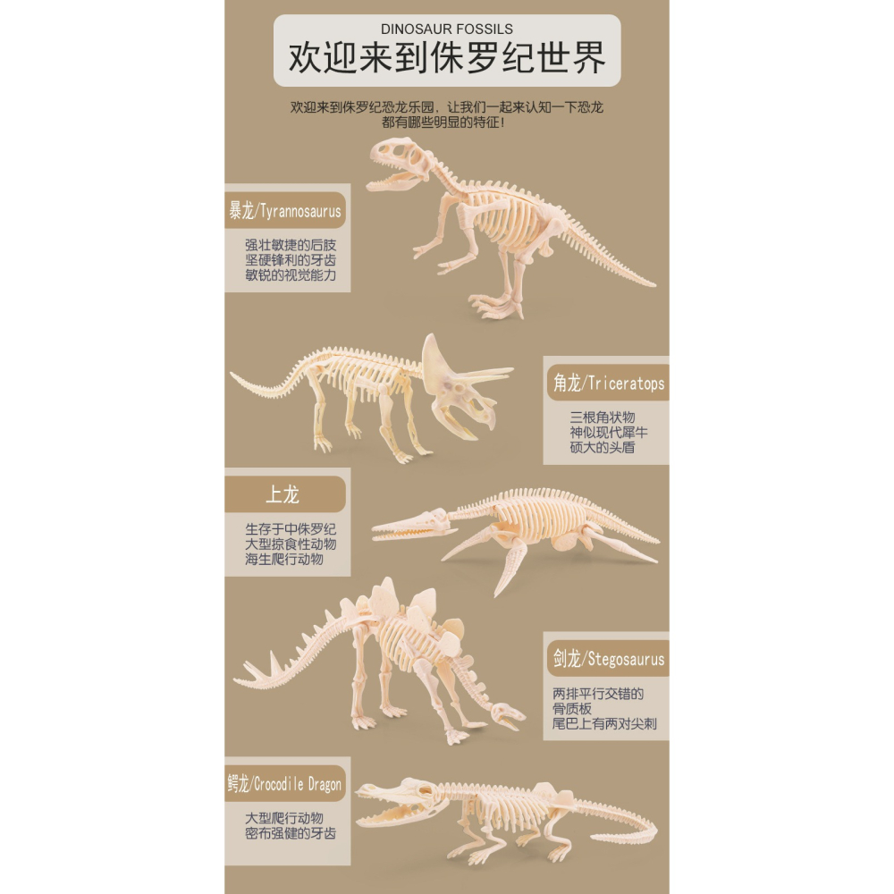 兒童生日6禮物9男孩5歲女孩幼兒園8小學生7弟弟4女童獎勵10的獎品-細節圖9