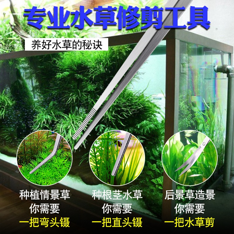 加長大號鑷子不銹鋼大鑷子帶齒加厚長鑷子水箱魚缸水草鑷子長夾子-細節圖3