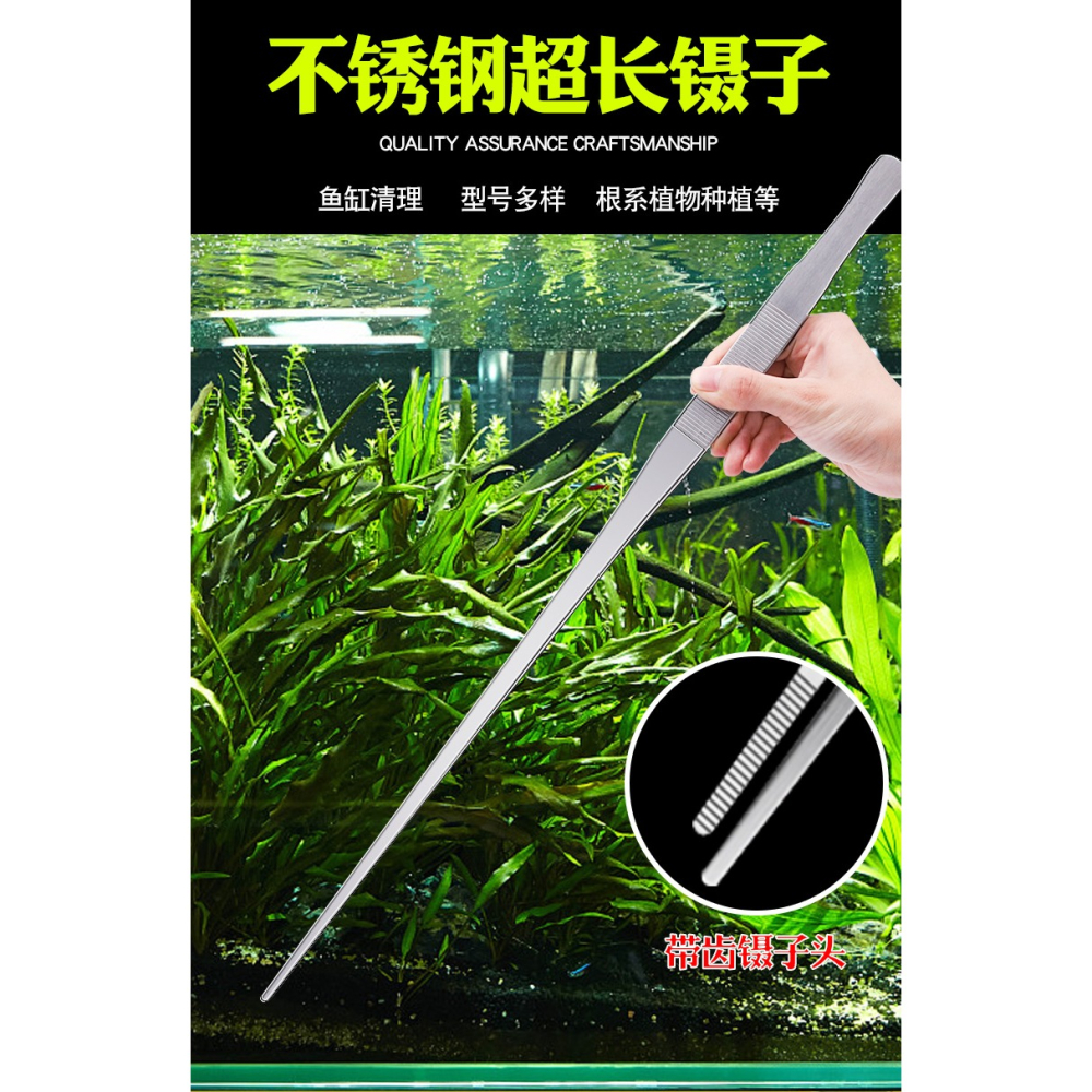 加長大號鑷子不銹鋼大鑷子帶齒加厚長鑷子水箱魚缸水草鑷子長夾子-細節圖5