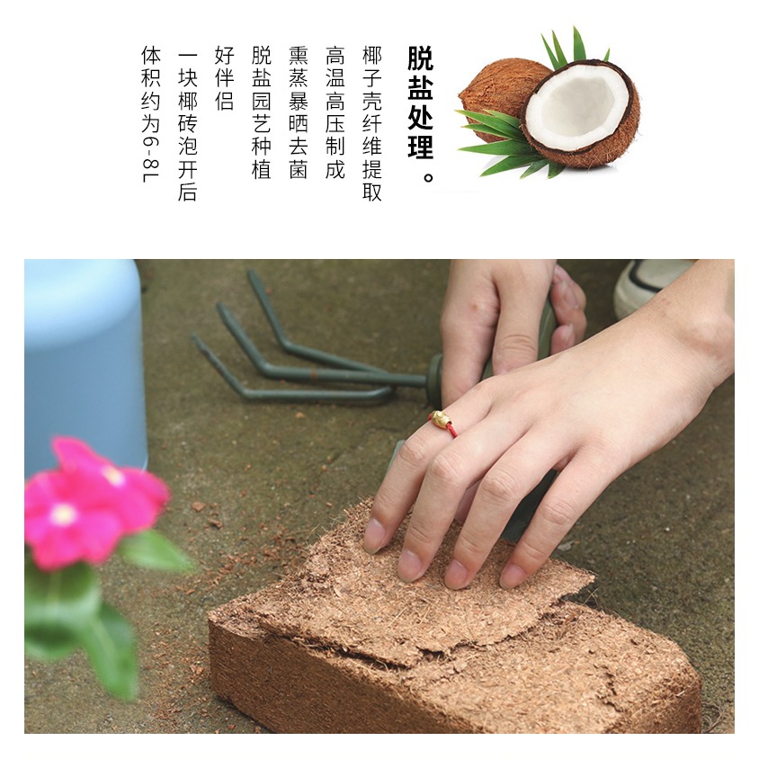 進口育苗泥炭土 家用花卉多肉植物培育營養土陽臺種菜有機培養土-細節圖7