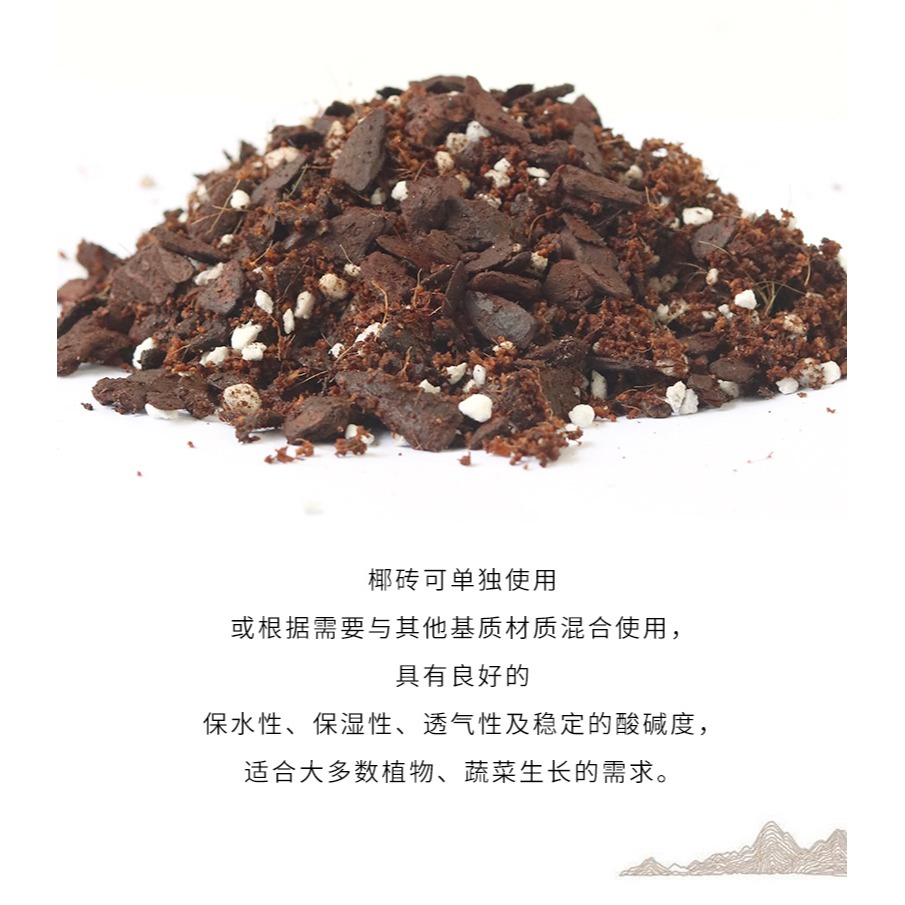 進口育苗泥炭土 家用花卉多肉植物培育營養土陽臺種菜有機培養土-細節圖8