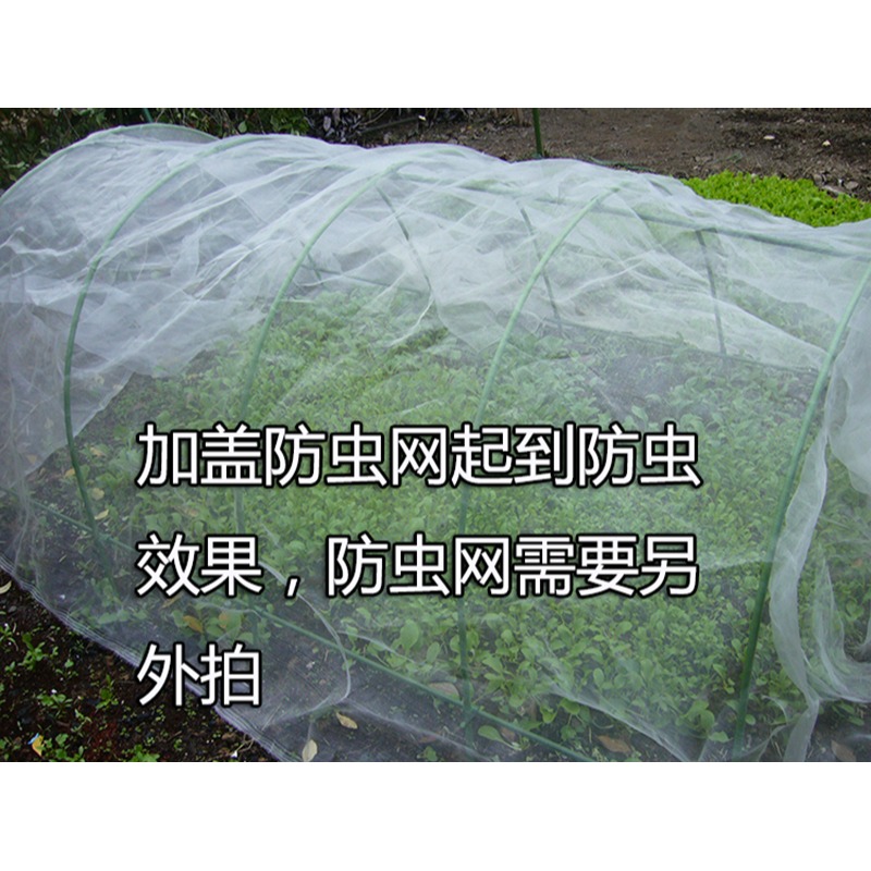 暖房花架多肉保溫花房防風防凍防雨大棚保暖花棚防蟲支架蔬菜大棚-細節圖9