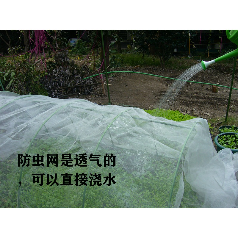 暖房花架多肉保溫花房防風防凍防雨大棚保暖花棚防蟲支架蔬菜大棚-細節圖10