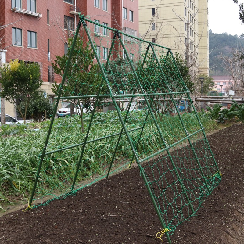 黃瓜豆角爬藤架菜地支撐桿架蔬菜包塑鋼鐵管掛架花園種菜攀爬架-細節圖3