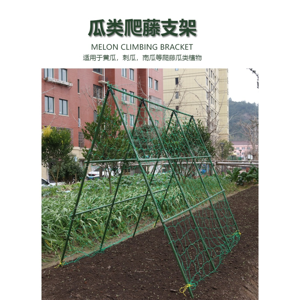 黃瓜豆角爬藤架菜地支撐桿架蔬菜包塑鋼鐵管掛架花園種菜攀爬架-細節圖7