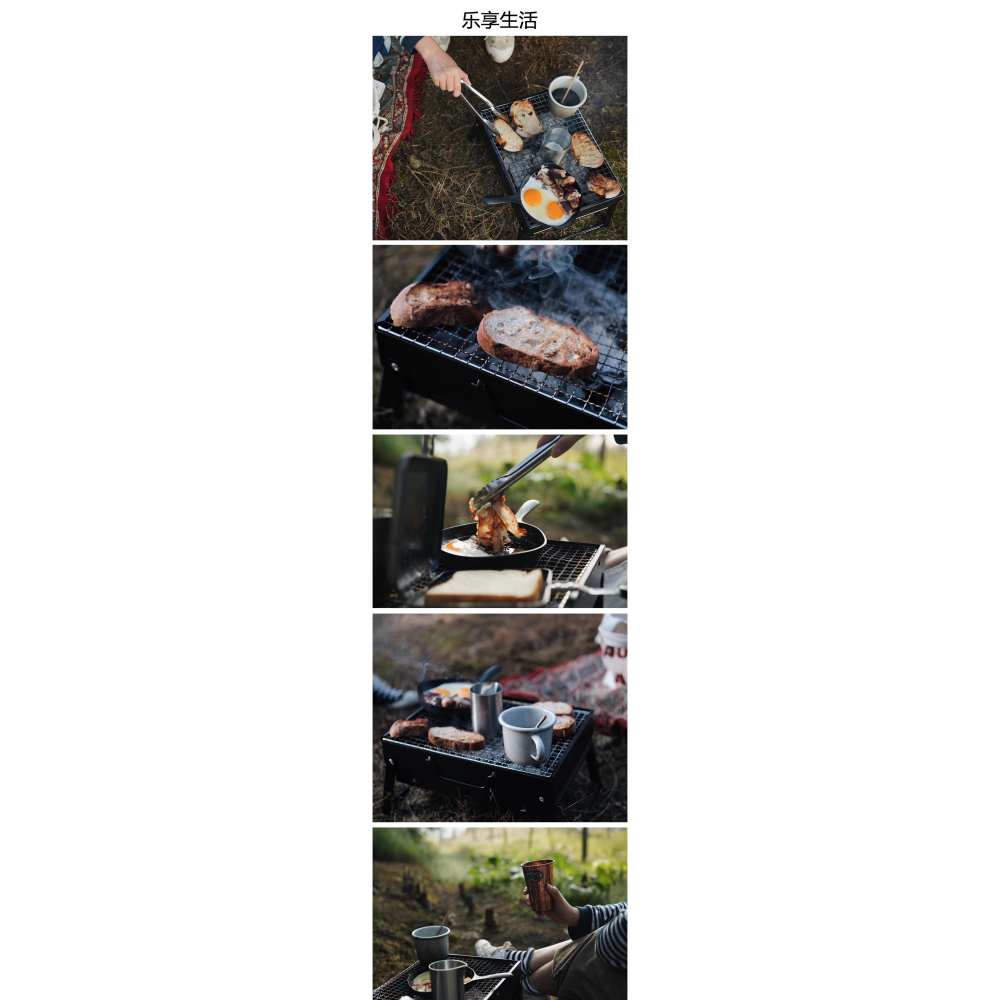 戶外燒烤爐迷你小型燒烤架家用木炭燒烤全套bbq碳綠洲五金oasiswj-細節圖6