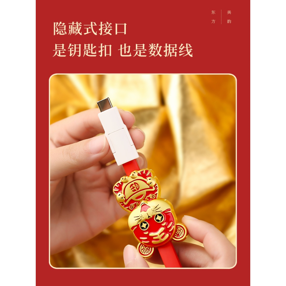 虎年鑰匙扣數據線包包掛件汽車精緻可愛個性創意男女定製小鎖匙扣-細節圖3