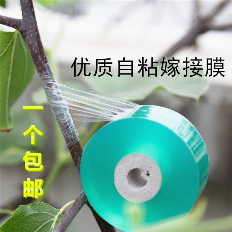 嫁接專用膜嫁接綁帶果樹苗木包紮帶無需打結自粘性纏繞包裝自粘膜-細節圖6