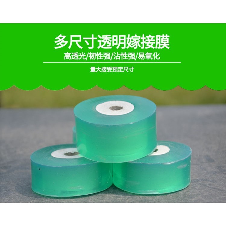 嫁接專用膜嫁接綁帶果樹苗木包紮帶無需打結自粘性纏繞包裝自粘膜-細節圖7