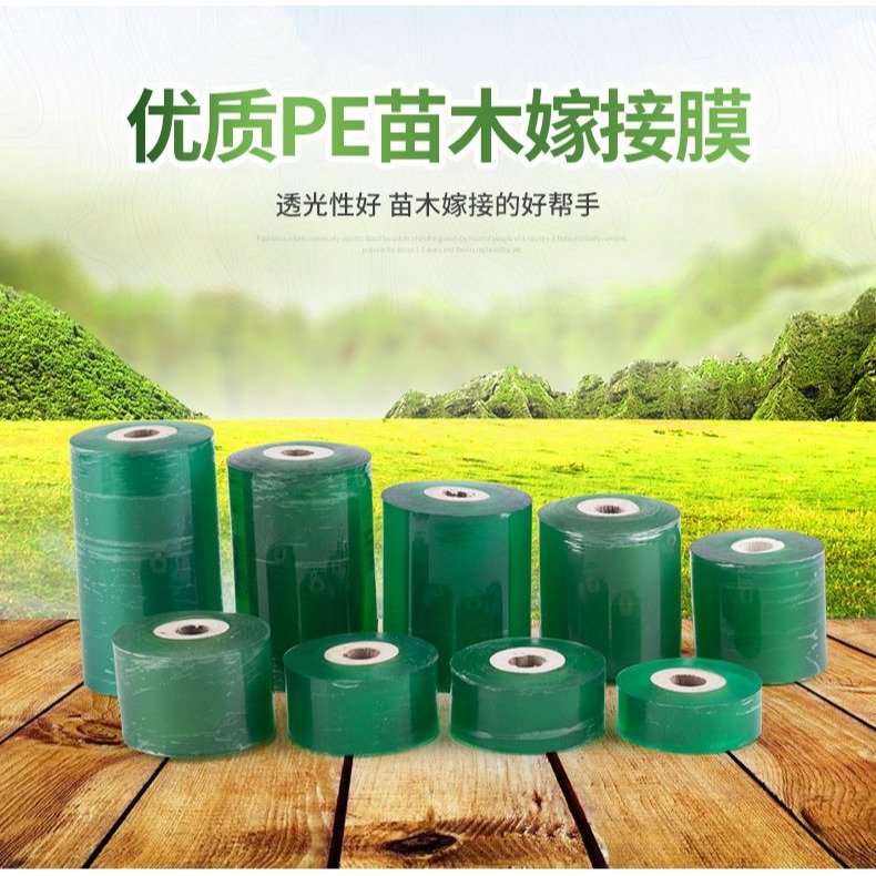 嫁接專用膜嫁接綁帶果樹苗木包紮帶無需打結自粘性纏繞包裝自粘膜-細節圖8