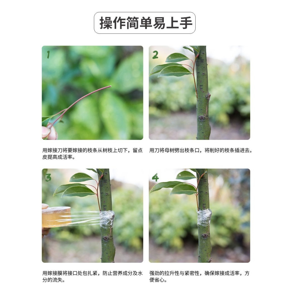 嫁接專用膜嫁接綁帶果樹苗木包紮帶無需打結自粘性纏繞包裝自粘膜-細節圖9