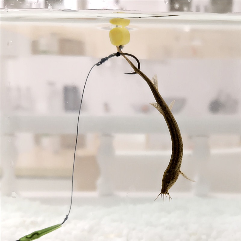 浮力球魚餌泡沫釣魚浮珠餌底釣顆粒珠珠浮型歐式釣組餌彩泡球反底-細節圖4