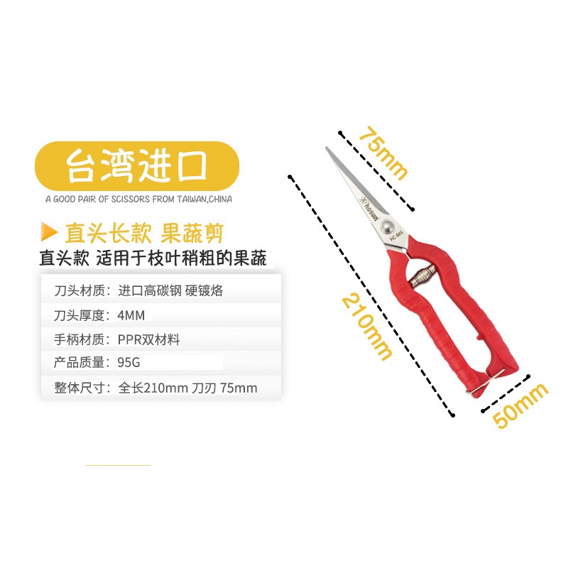 弘晨稀果剪葡萄剪園藝採果芽剪水果蔬果剪刀柑橘子修花摘果插修枝-細節圖10