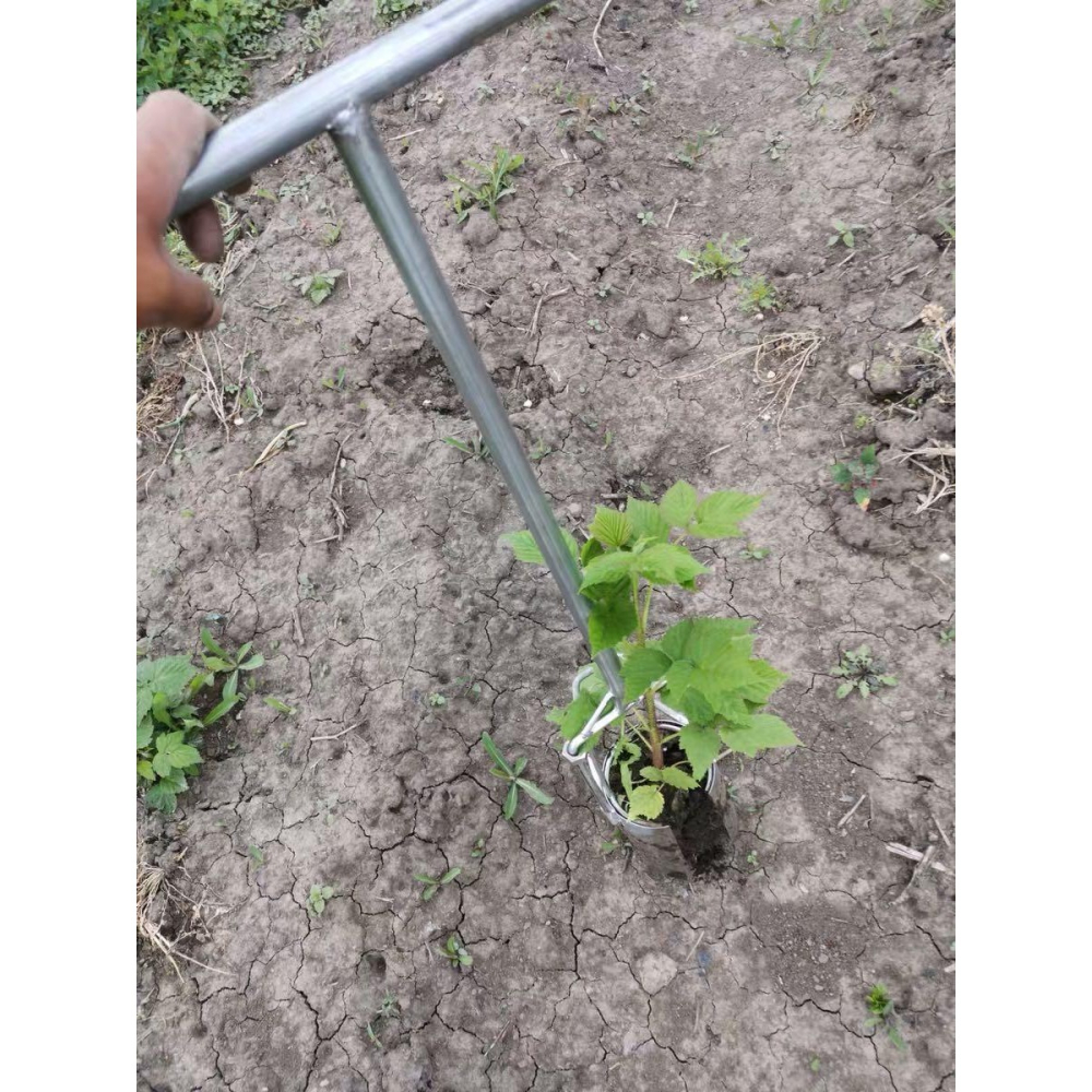 不銹鋼移苗器移栽器大腳蹬舒適加密焊接補玉米苗耕種機械 618大促-細節圖3