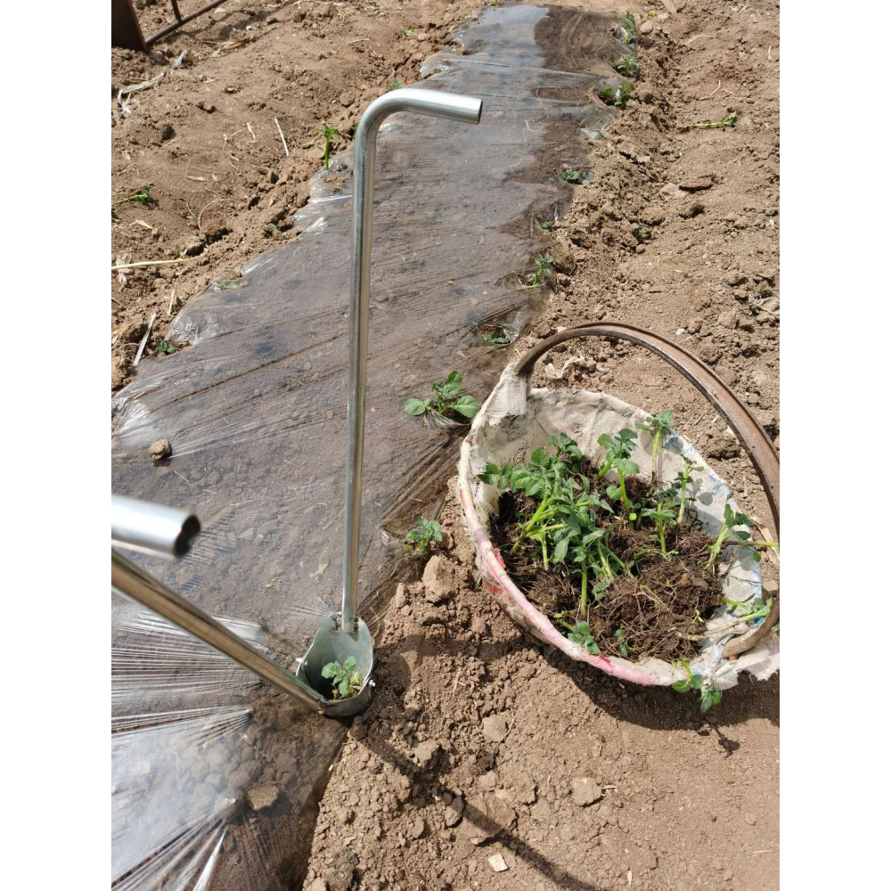 栽苗器移苗器加厚帶腳蹬多功能種西瓜豆角番茄土豆辣椒苗神器移植-細節圖8