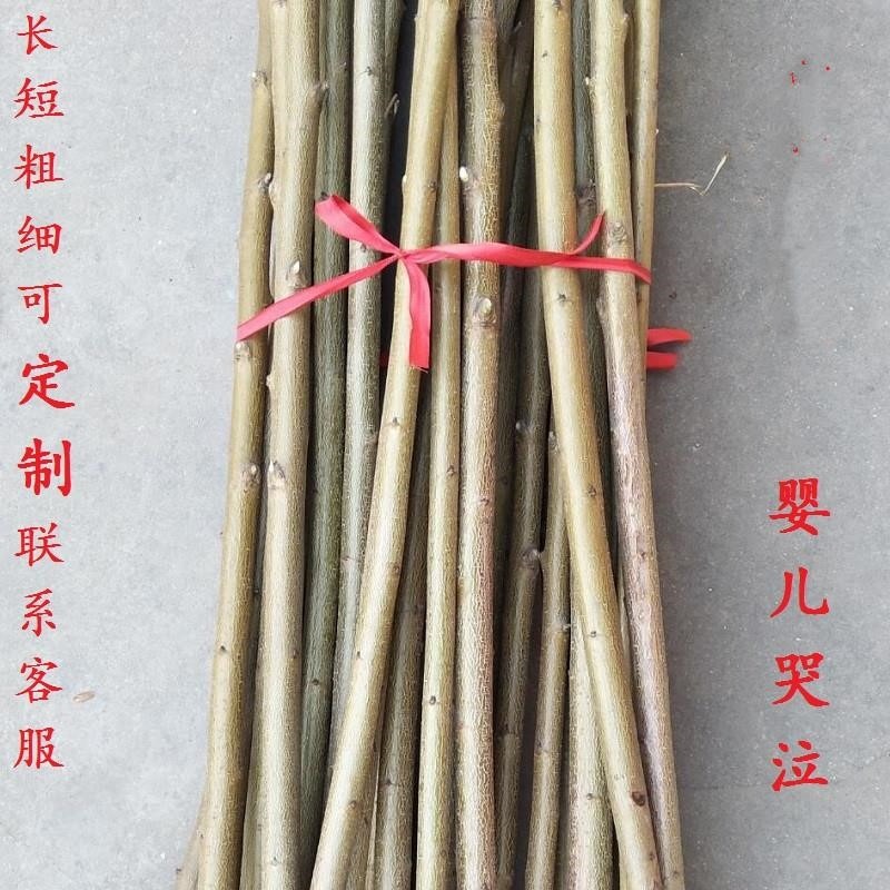 桃木樹枝 桃木掛件原木 嬰兒孕婦驚嚇夜晚啼哭隨身攜帶東南桃木棍-細節圖3