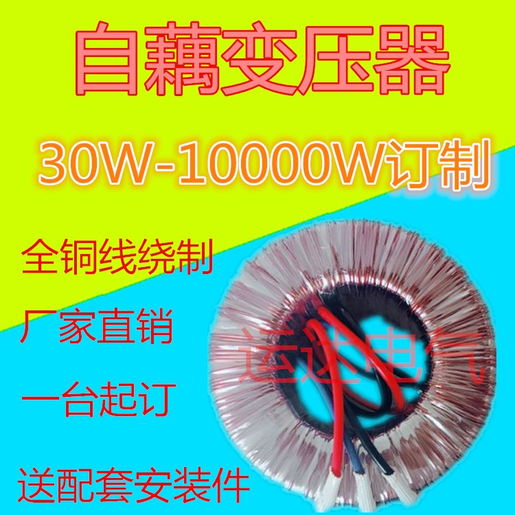 環形自耦變壓器0V110V220V轉380V440V200W300W400W500W110V轉220V-細節圖4