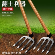 富樂皇小耙子花生鋤頭鬆土農用種花栽菜趕海工具小號釘耙翻土園藝-細節圖10