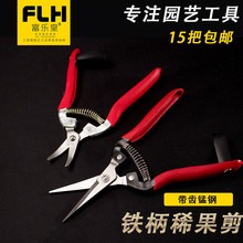 加長摘葡萄剪刀不銹鋼採摘果剪桔子柑橘果園花剪摘花椒藤椒尖頭剪-細節圖9