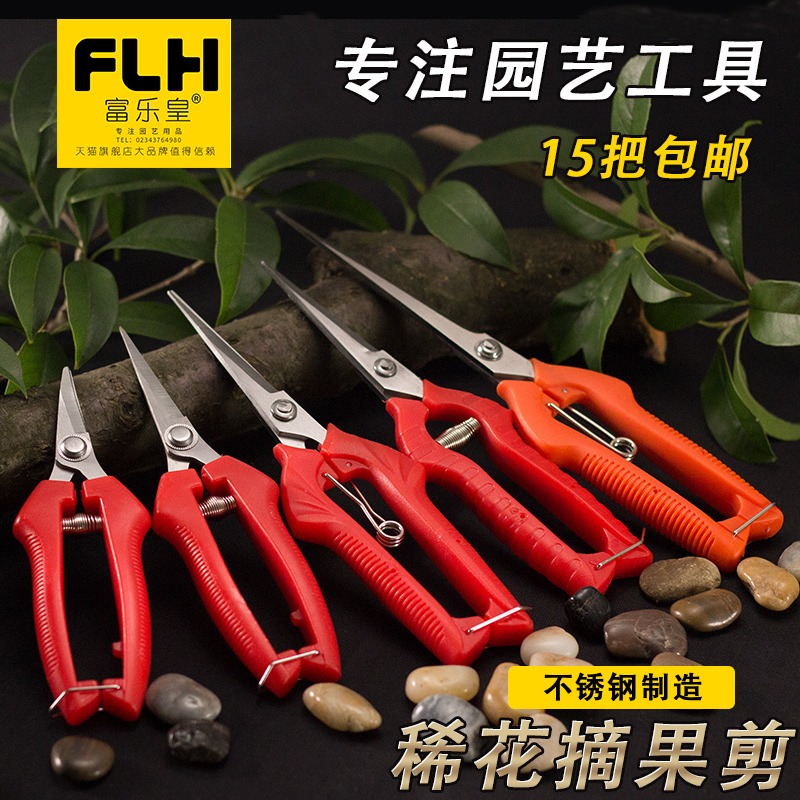 稀果剪疏採摘水果剪柑桔子葡萄柑橘子摘花椒修枝剪花卉加長園藝剪-細節圖3