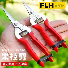 稀果剪疏採摘水果剪柑桔子葡萄柑橘子摘花椒修枝剪花卉加長園藝剪-細節圖10