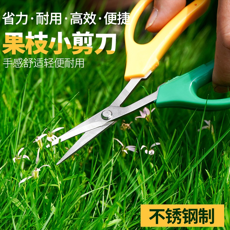 摘果剪刀葡萄採果剪柑橘剪桔子蔬果剪番茄西紅柿採摘翹頭剪稀果剪-細節圖3
