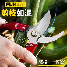 摘果剪刀葡萄採果剪柑橘剪桔子蔬果剪番茄西紅柿採摘翹頭剪稀果剪-細節圖9