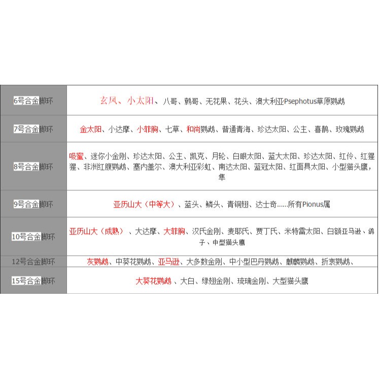 鸚鵡腳環/鸚鵡腳鏈 不銹鋼鳥鏈子喜鵲八哥伯勞鳥用品鴿子站架腳環-細節圖2