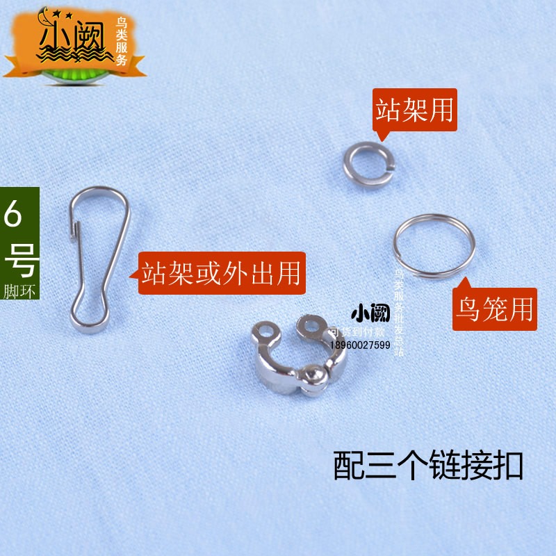 鸚鵡腳環/鸚鵡腳鏈 不銹鋼鳥鏈子喜鵲八哥伯勞鳥用品鴿子站架腳環-細節圖3