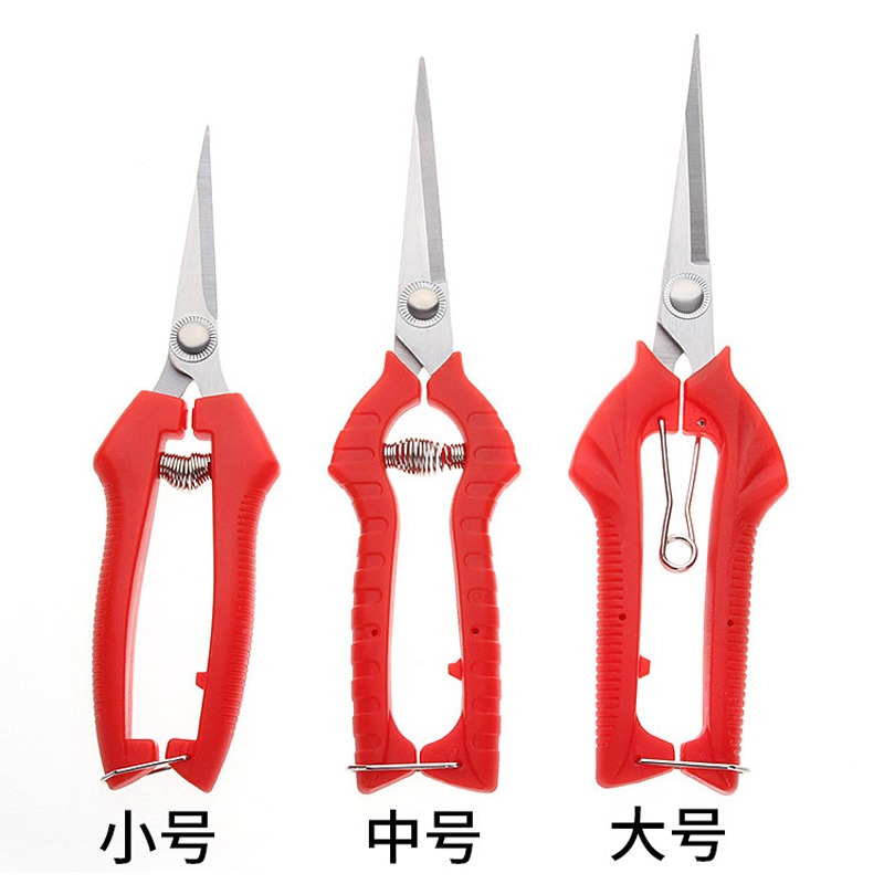 果蔬剪刀園藝剪樹枝剪花椒摘果剪葡萄水果修枝剪家用不銹鋼剪刀-細節圖3
