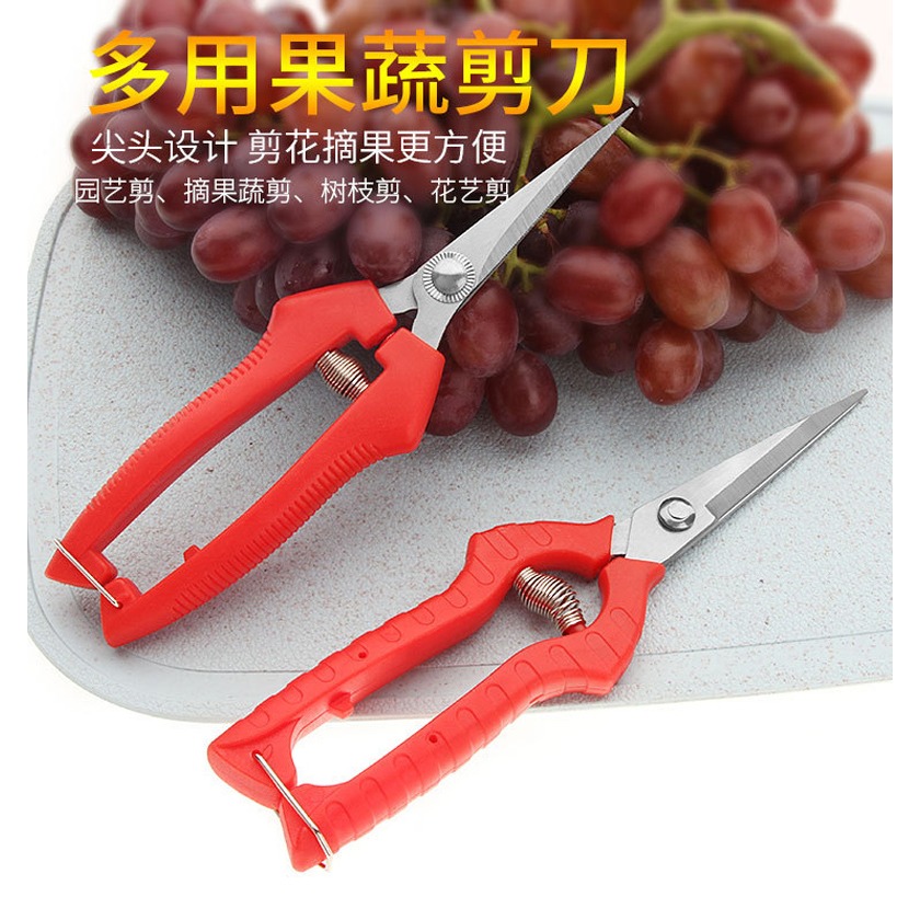 果蔬剪刀園藝剪樹枝剪花椒摘果剪葡萄水果修枝剪家用不銹鋼剪刀-細節圖6
