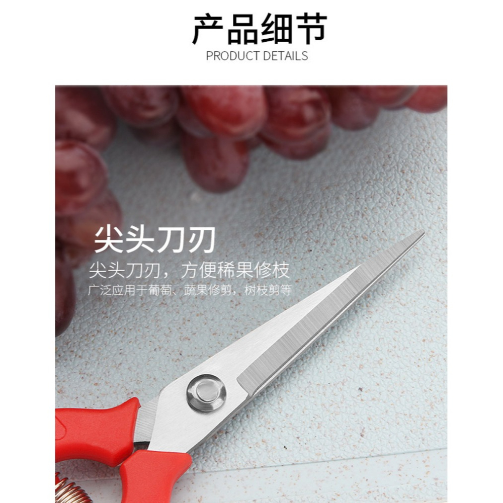 果蔬剪刀園藝剪樹枝剪花椒摘果剪葡萄水果修枝剪家用不銹鋼剪刀-細節圖8