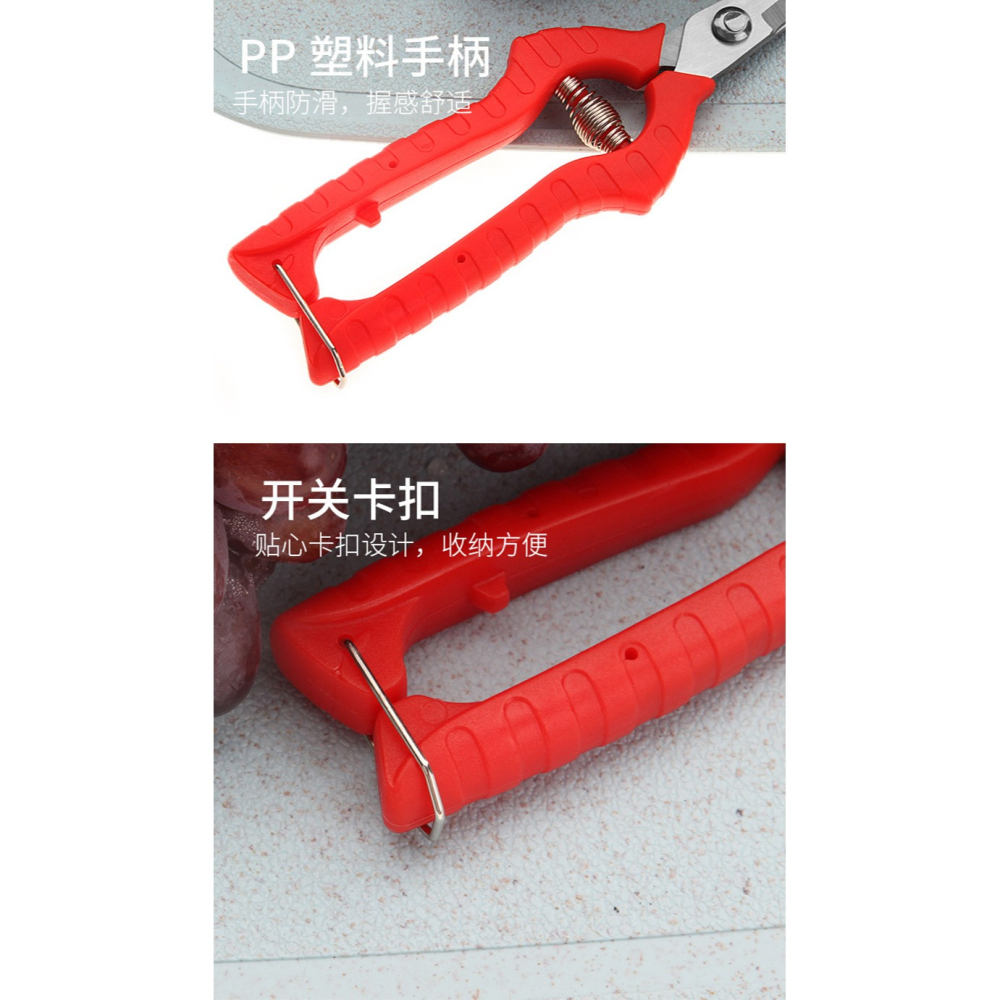 果蔬剪刀園藝剪樹枝剪花椒摘果剪葡萄水果修枝剪家用不銹鋼剪刀-細節圖10