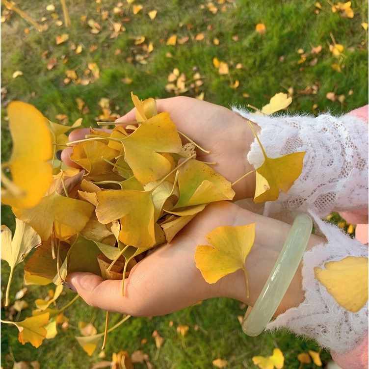 岫玉手鐲遼寧岫巖玉秀玉冰糯種飄花古風女正品天然a貨直播間撿漏-細節圖6