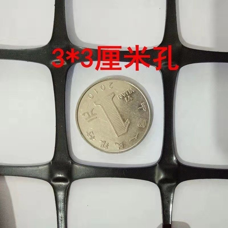 加厚塑料養殖網養雞鴨鵝圍欄圍網果園防護網圈玉米圈山圈地防逃網-細節圖10