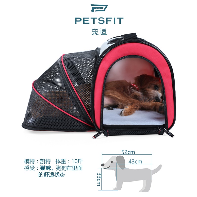Petsfit寵適 貓包外出便攜寵物包大容量貓咪揹包泰迪狗狗貓咪用品-細節圖3