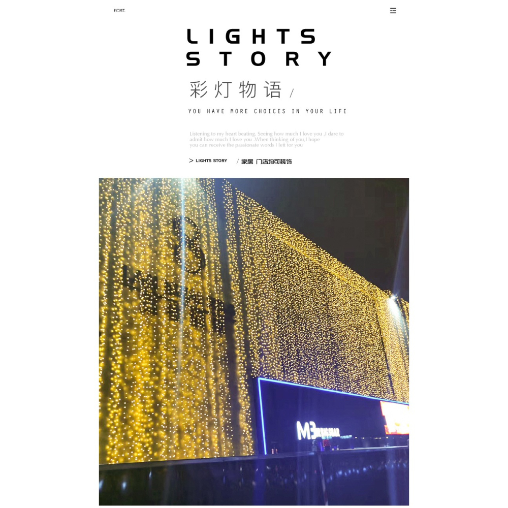 LED小彩燈閃燈串燈滿天星燈串戶外防水七彩變色房間家用霓虹裝飾-細節圖9